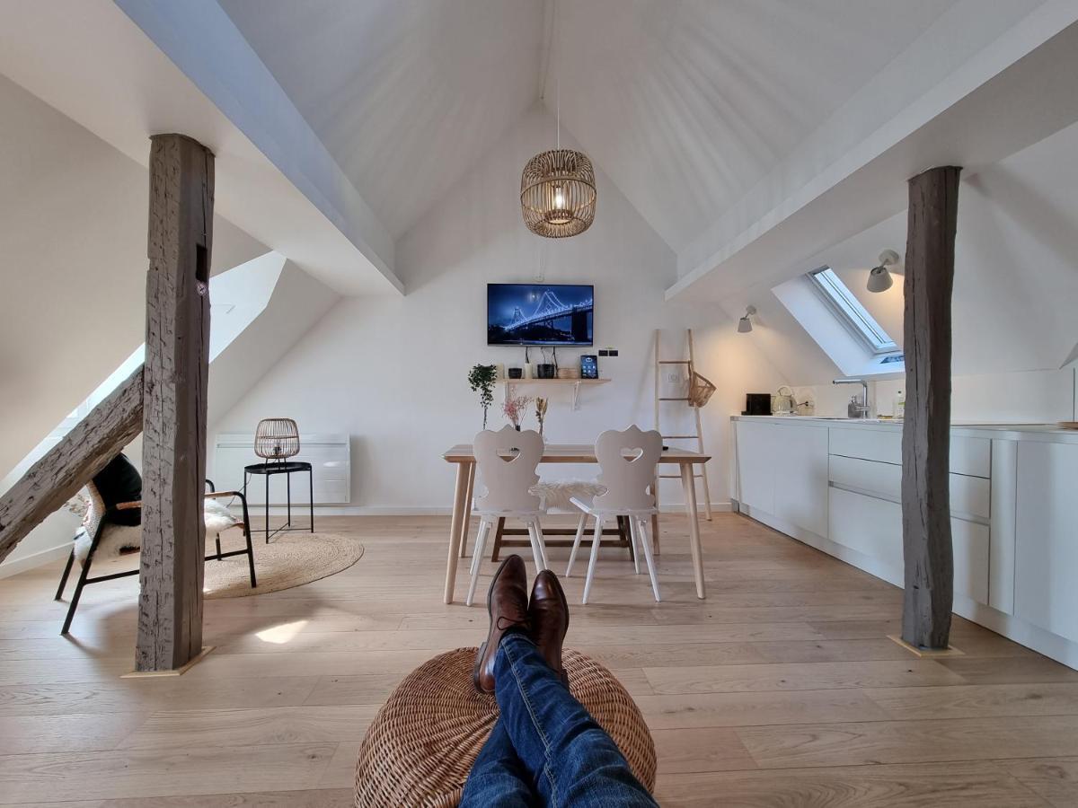 Travel Homes - The Parc, Next To Champ De Mars 科尔马 外观 照片